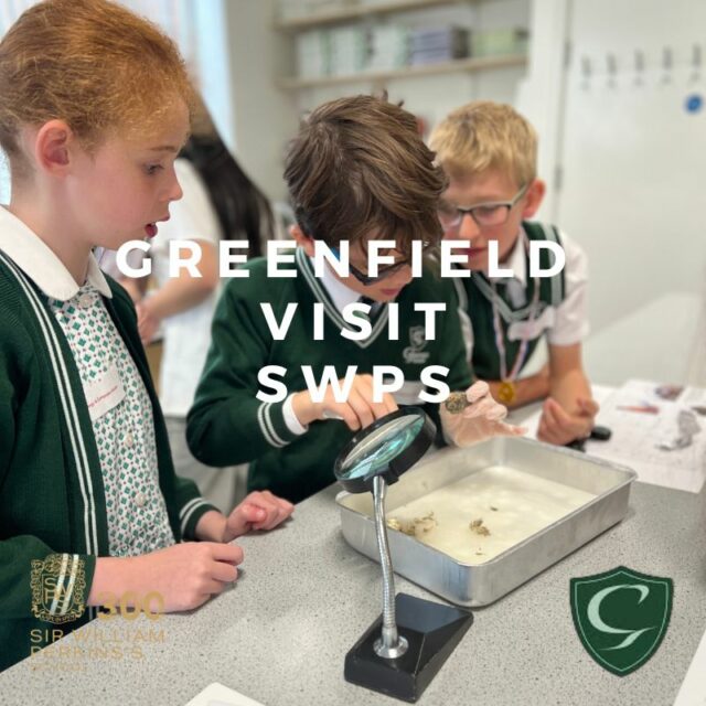 Greenfield